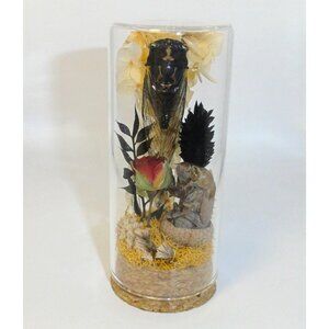 Cicada Rose Flowers & Molt Oddity Jar curiosity insect diorama goth taxidermy